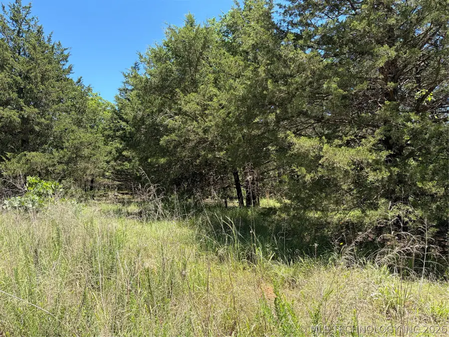 John's Valley Road, Moyers, OK 74557 - #3