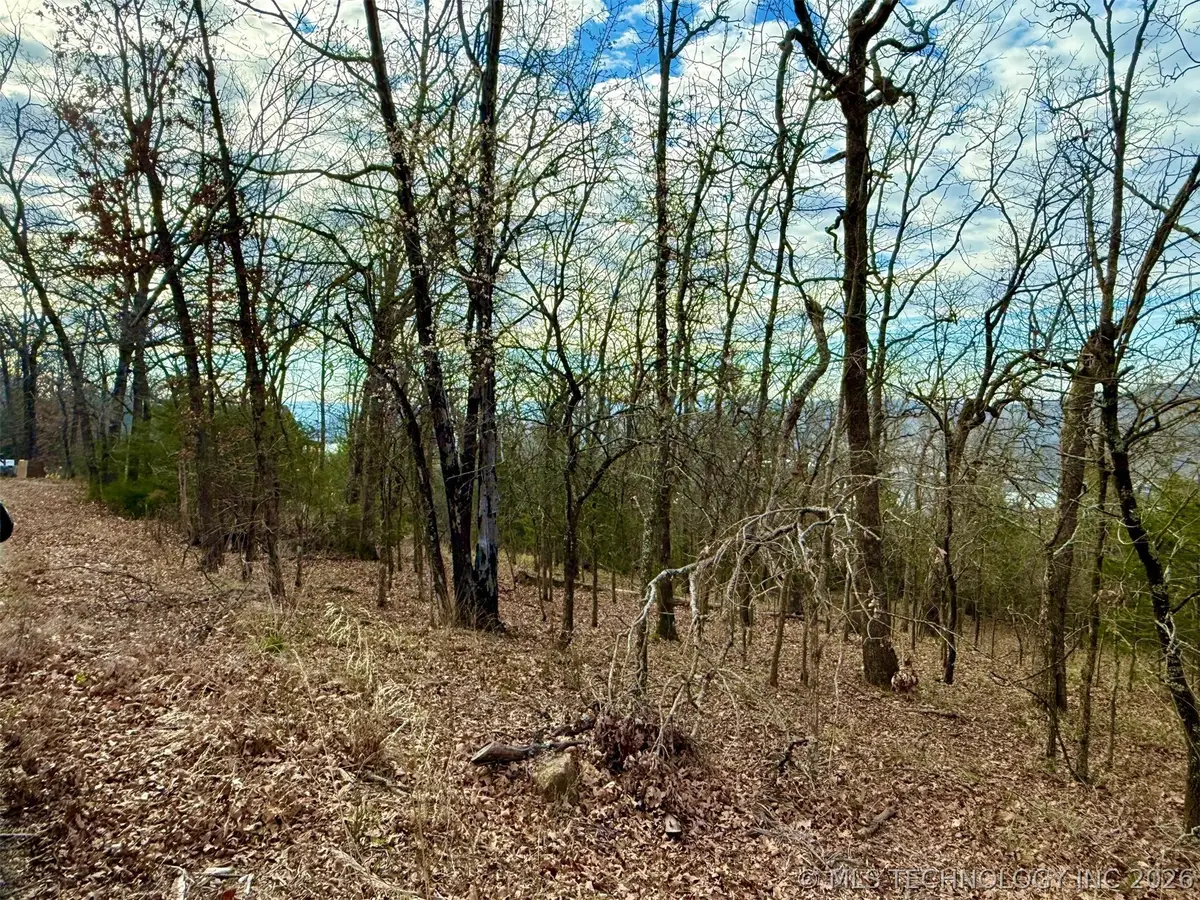 Sugar Mountain Circle, South Cherokee, OK 74451 - #1