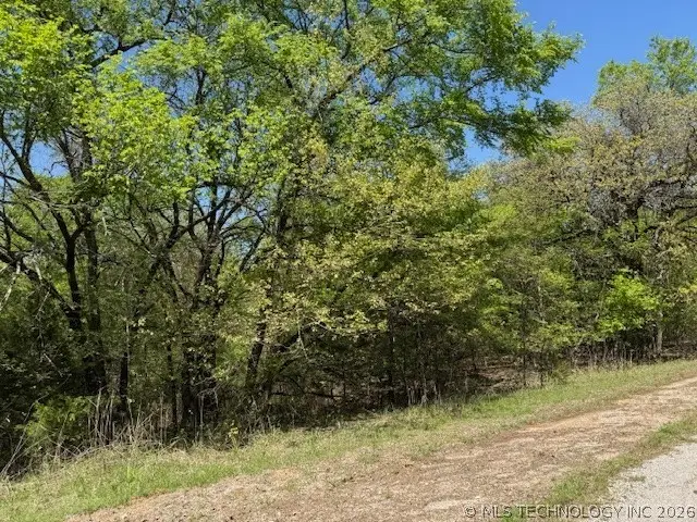 60 Arrowhead, Burneyville, OK 73430 - #2