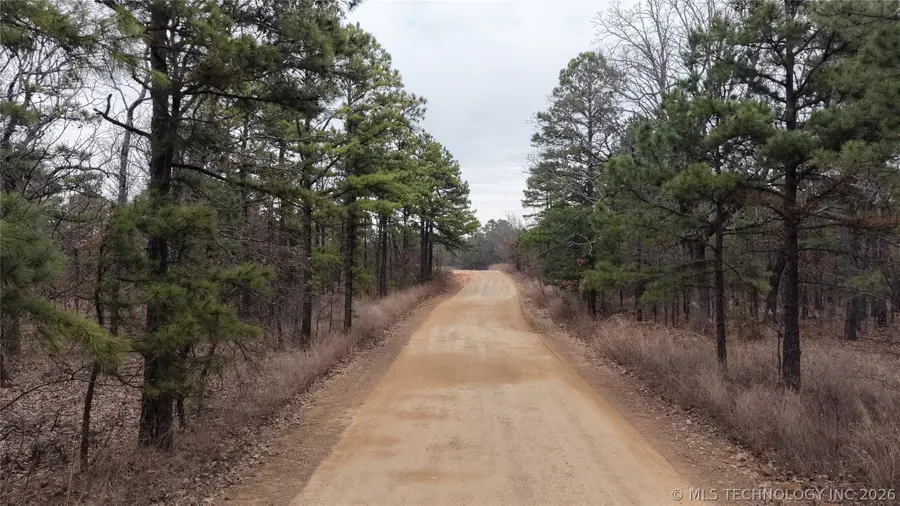 NE 1060, Panola, OK 74559 - #2
