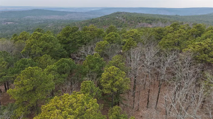 NE 1060, Panola, OK 74559 - #3
