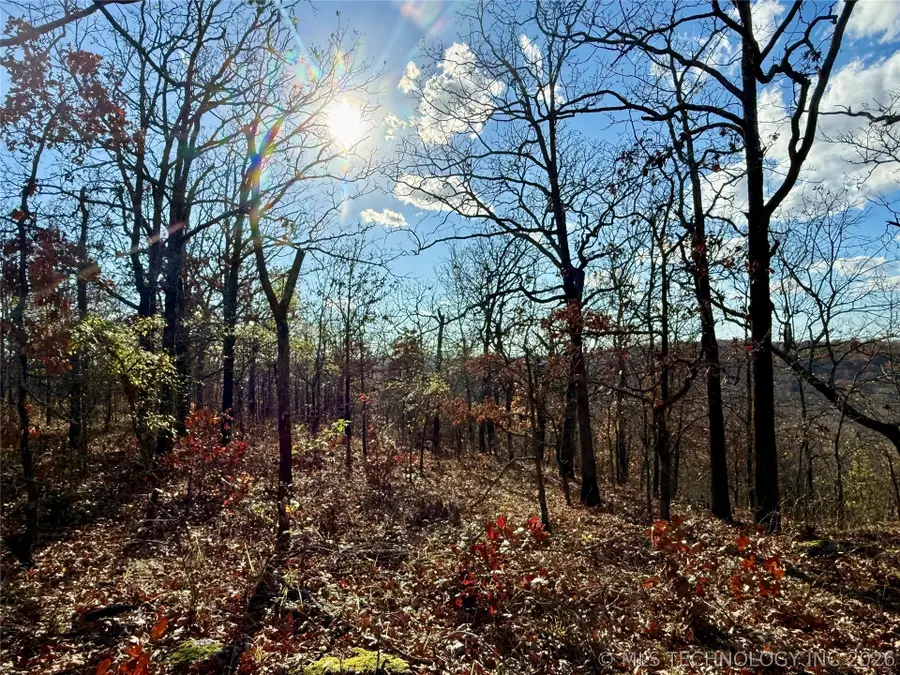 S 4547 Road, Vian, OK 74962 - #2