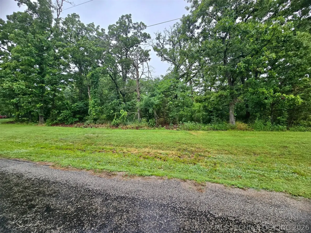 S Shady Lane Drive, Chelsea, OK 74016 - #1