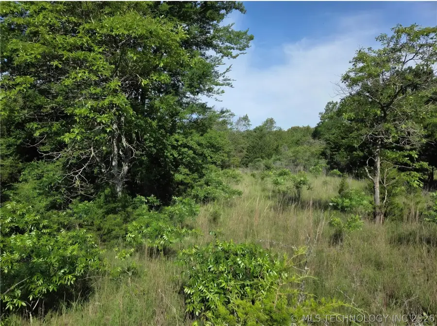 00 Centerpoint Road, Atoka, OK 74525 - #3