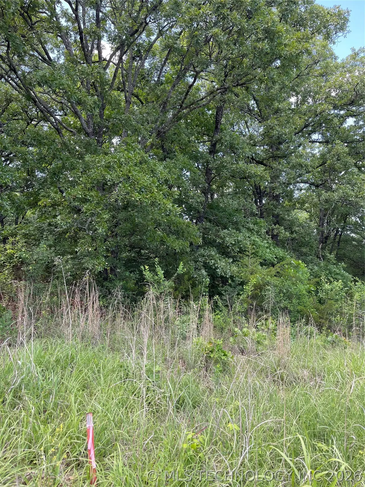 Lance Road, Davis, OK 73030 - #1