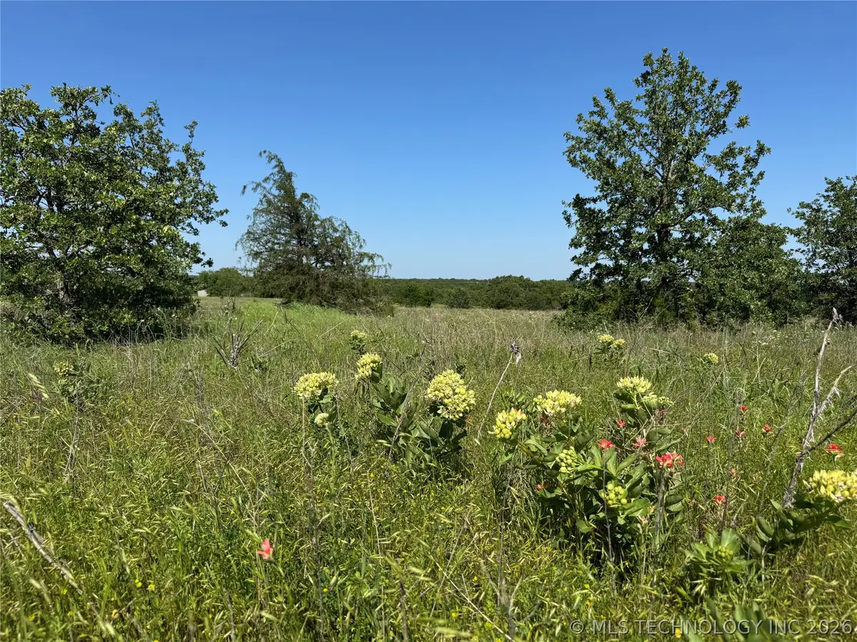 2668 Buck Horn Road, Healdton, OK 73438 - #1