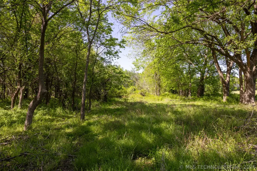 26 SE Lenapah Street, Skiatook, OK 74070 - #3