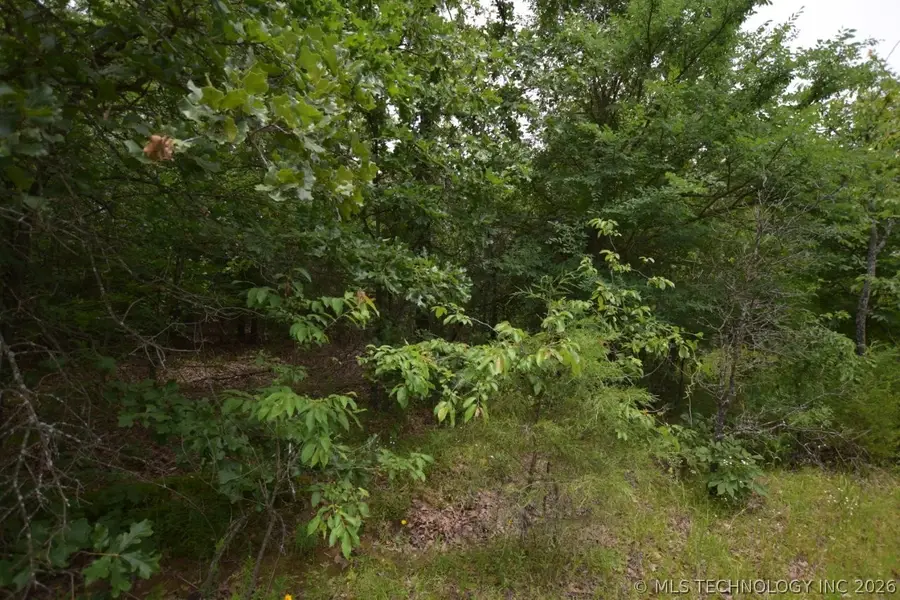 8 Darcy Lane, Vian, OK 74962 - #3
