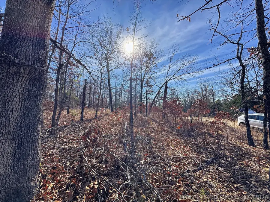 95001 S 4556 Road, Vian, OK 74962 - #3