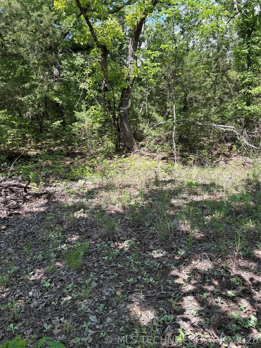 12 Stagecoach Trail, Osage, OK 74054 - #2