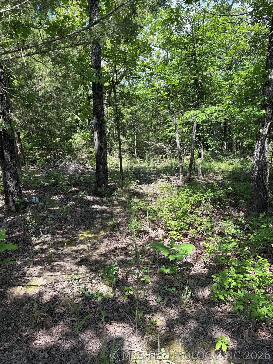 13 Stagecoach Trail, Osage, OK 74054 - #3