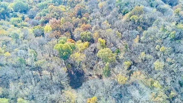 Tamaha, Stigler, OK 74462 - #1