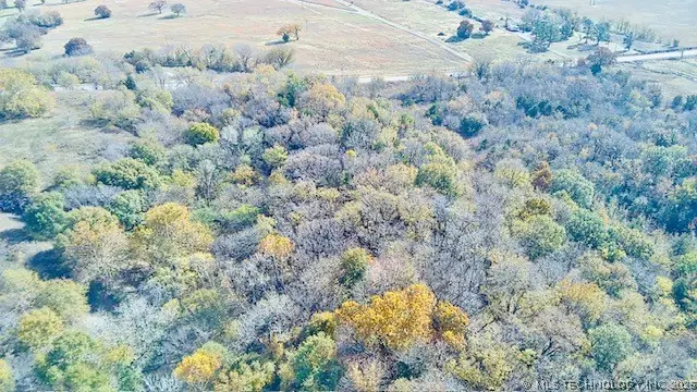 Tamaha, Stigler, OK 74462 - #2