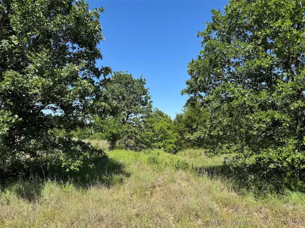 2670 Buck Horn Road, Healdton, OK 73438