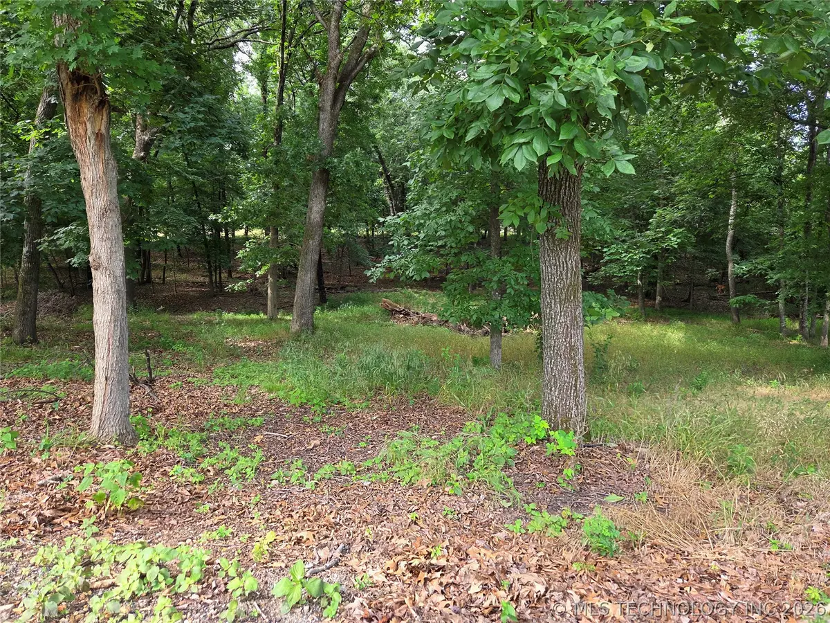Eagles Nest Drive, Disney, OK 74340 - #1