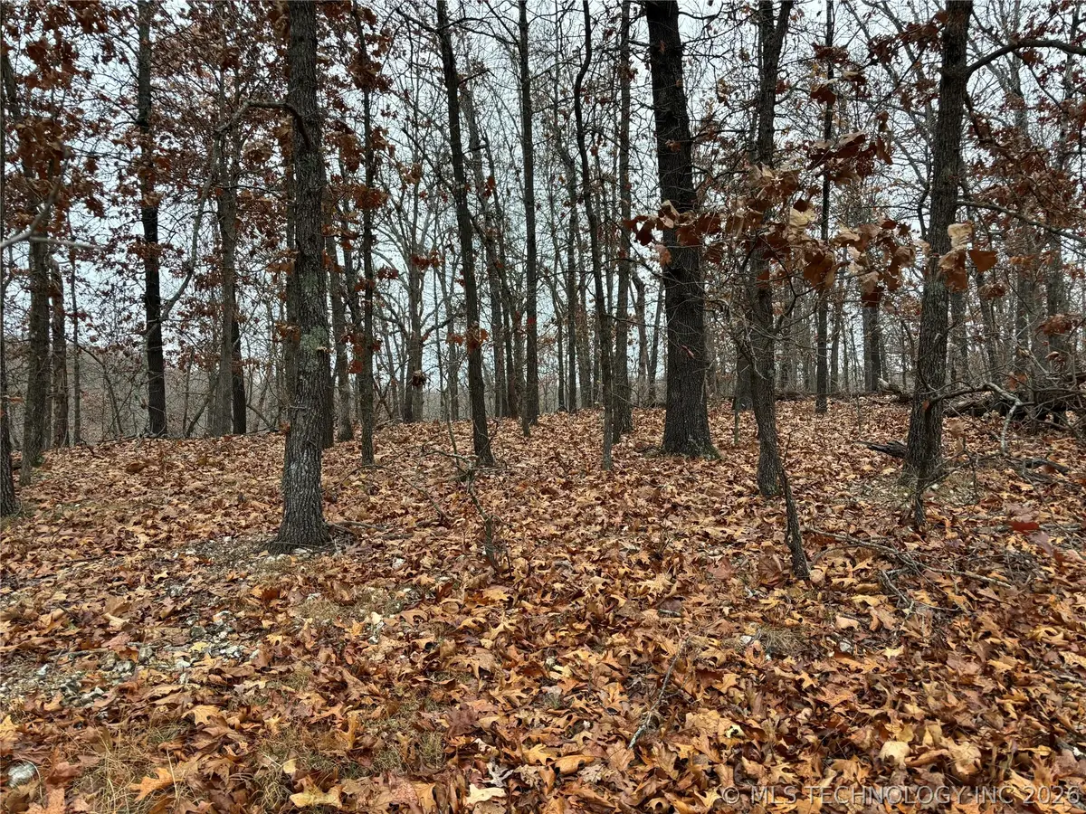 Acorn Ridge, Proctor, OK 74457 - #1
