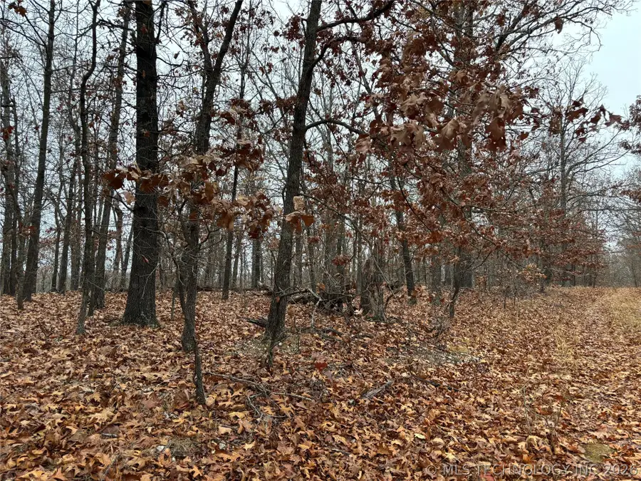 Acorn Ridge, Proctor, OK 74457 - #2