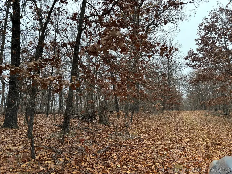 Acorn Ridge, Proctor, OK 74457 - #3