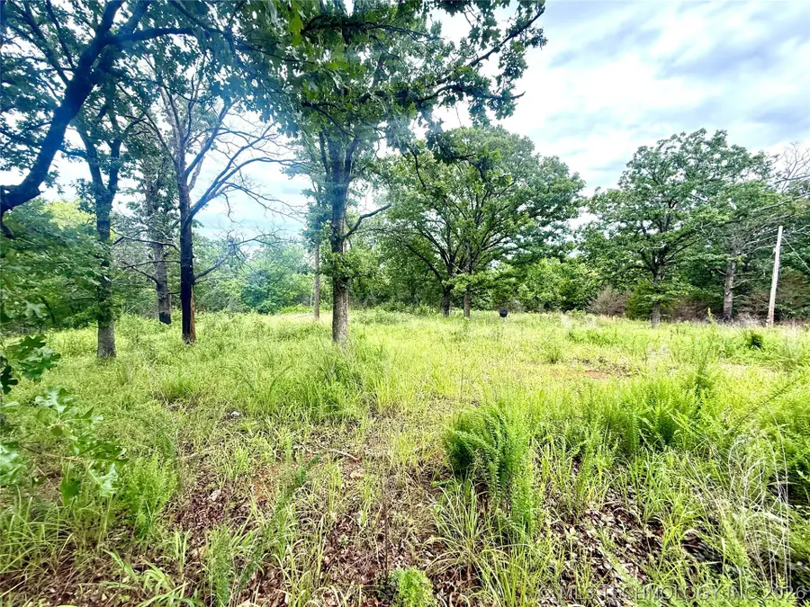 12287 W 809 Road, Tahlequah, OK 74464 - #2