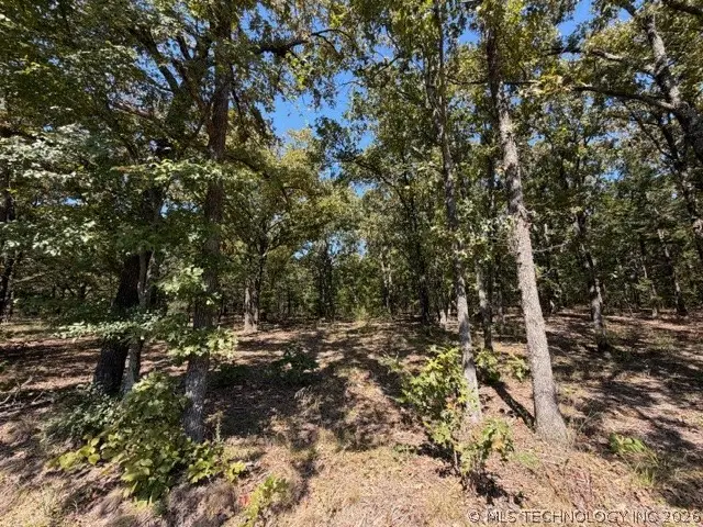 6 Brandy Lane, Tishomingo, OK 73460 - #3