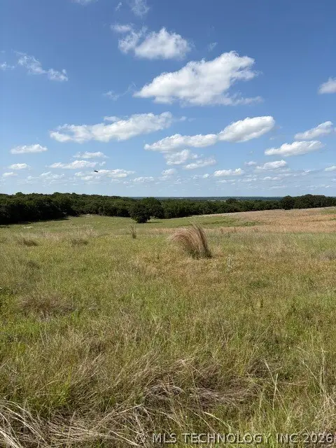 Lincoln Road, Burneyville, OK 73430 - #3
