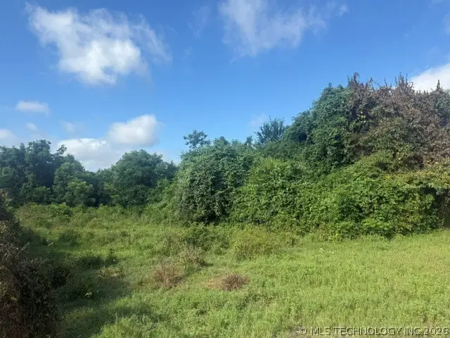 0000 N 4230 Road, Hugo, OK 74743 - #3