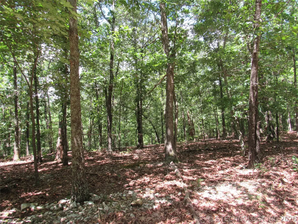 Address Withheld By Seller, Proctor, OK 74457 - #1
