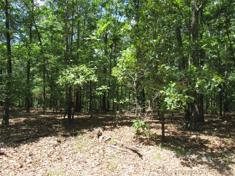 Address Withheld By Seller, Proctor, OK 74457 - #2