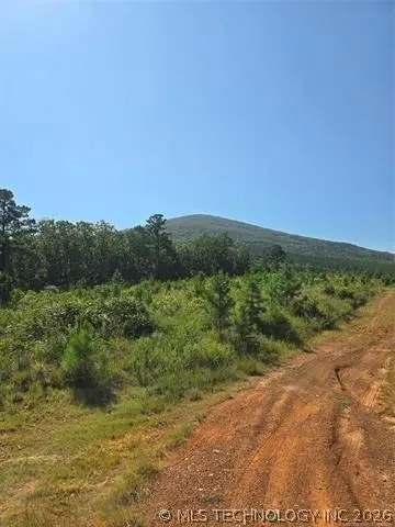Rural Route, Heavener, OK 74947 - #3