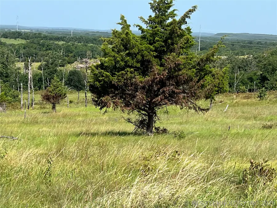 Bill Ward Road, Clarita, OK 74535 - #2