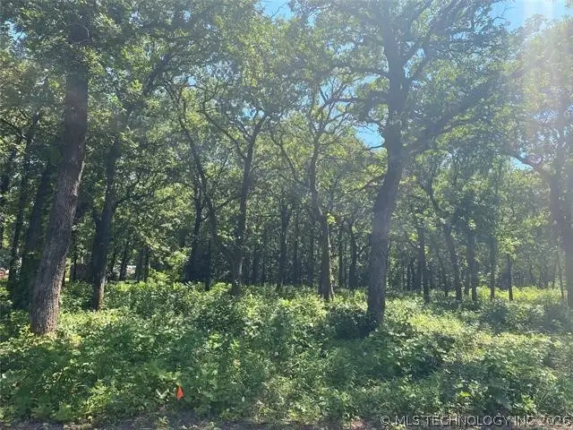 0 Majestic Circle, Kingston, OK 73439 - #2