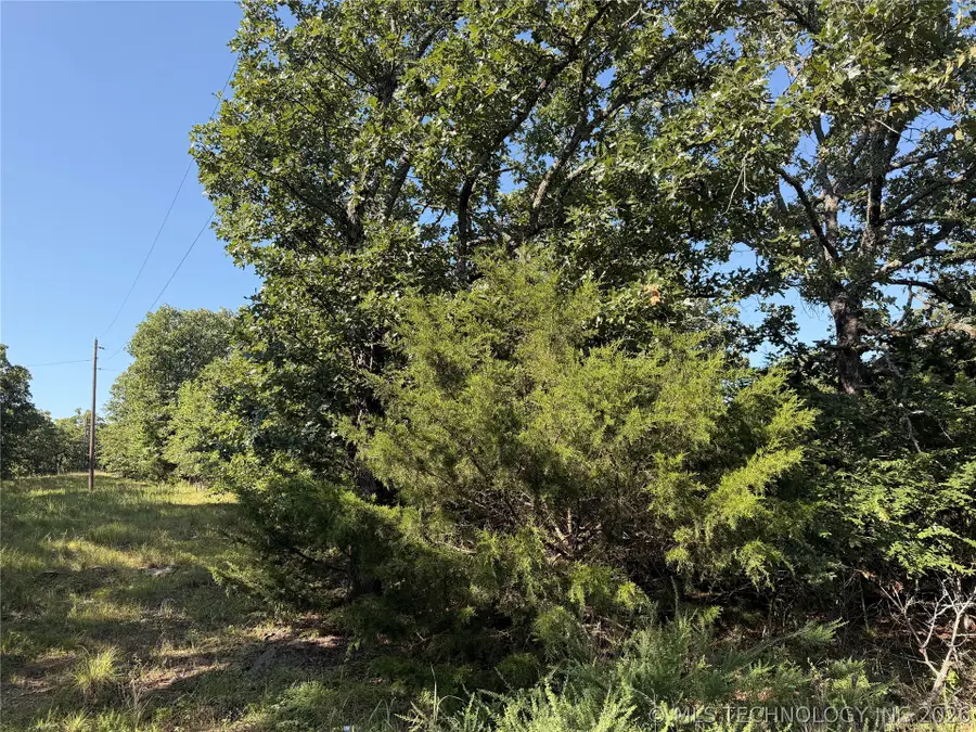 N Alpine Street, Atoka, OK 74525 - #3