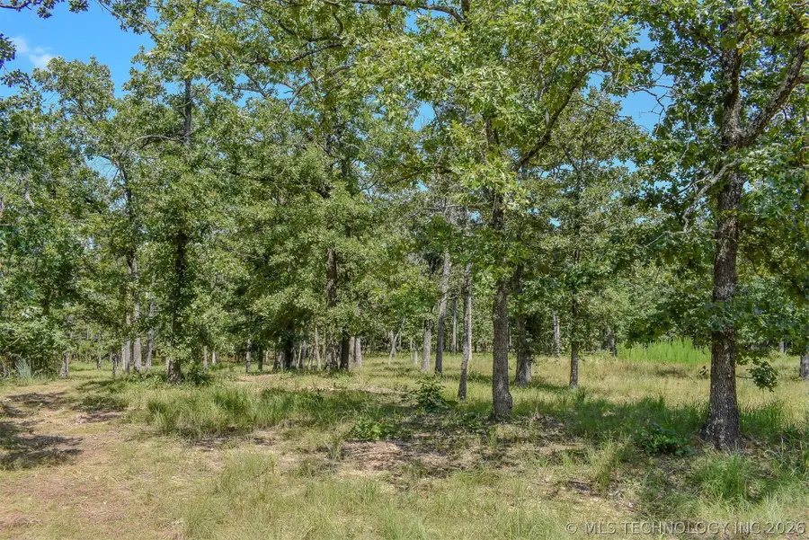 0 Lakeside Ridge, Sawyer, OK 74743 - #2