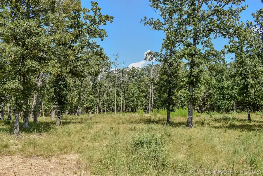 0 Lakeside Ridge, Sawyer, OK 74743 - #3