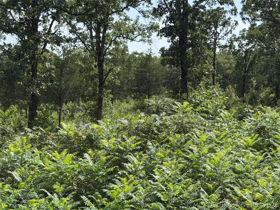 Double Springs Road, McAlester, OK 74501 - #2