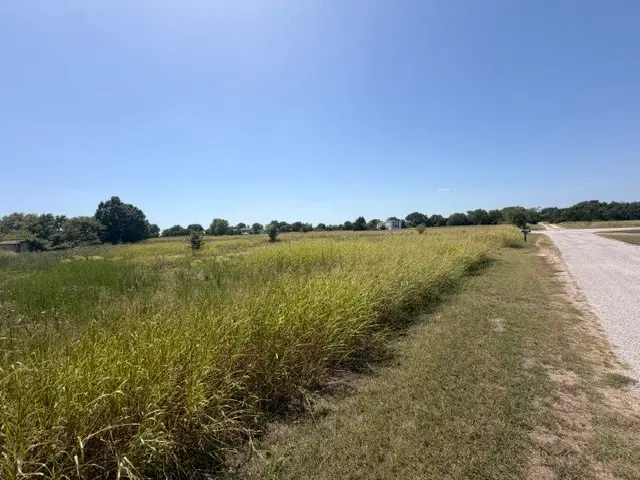 Cypress Avenue, Burneyville, OK 73430 - #3