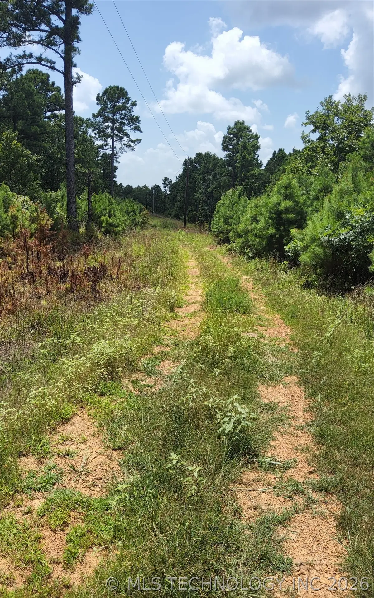 Address Withheld By Seller, Moyers, OK 74557 - #1