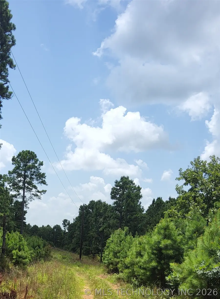 Address Withheld By Seller, Moyers, OK 74557 - #2