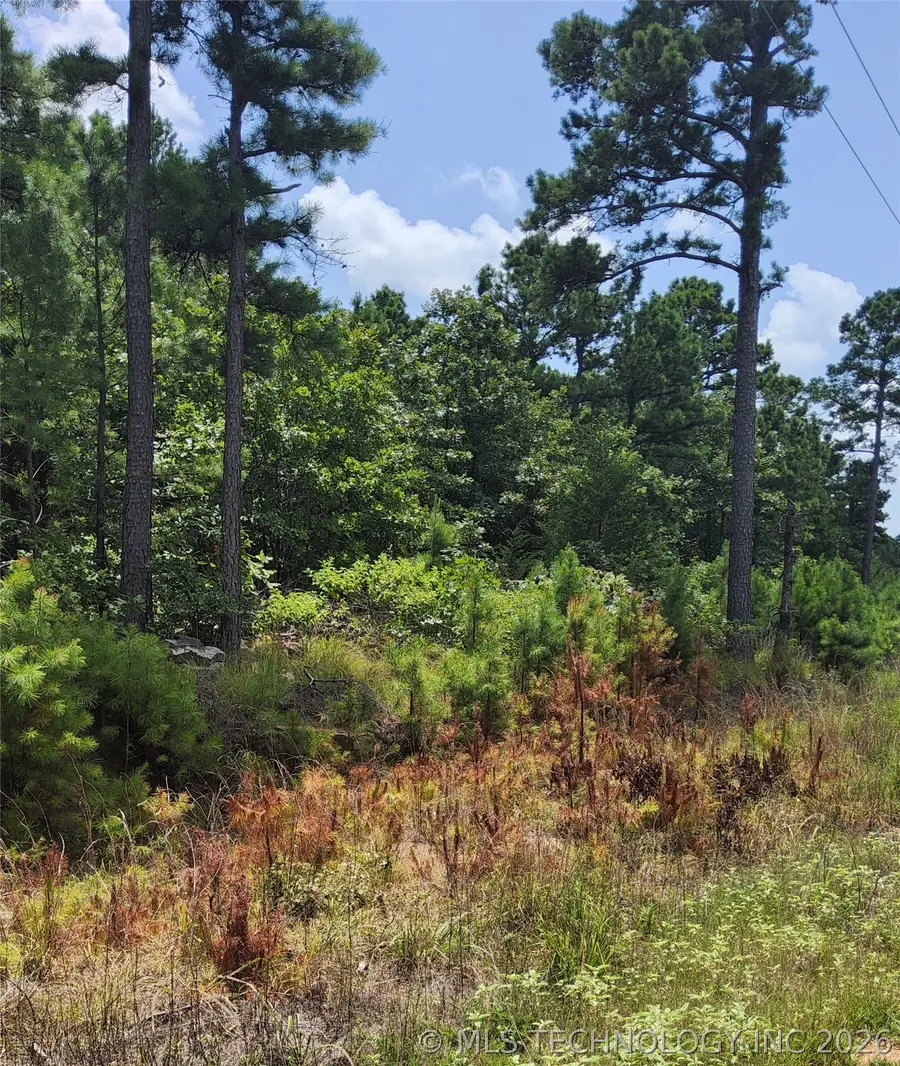 Address Withheld By Seller, Moyers, OK 74557 - #3