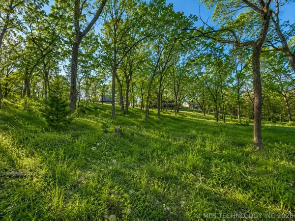 S Coves Drive, Afton, OK 74331