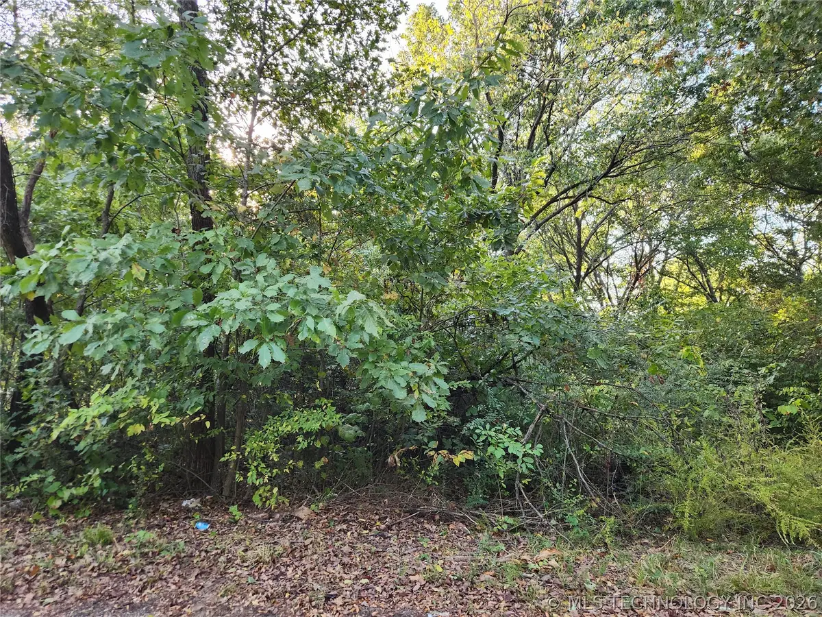 Lakeview Drive, Langley, OK 74350 - #1