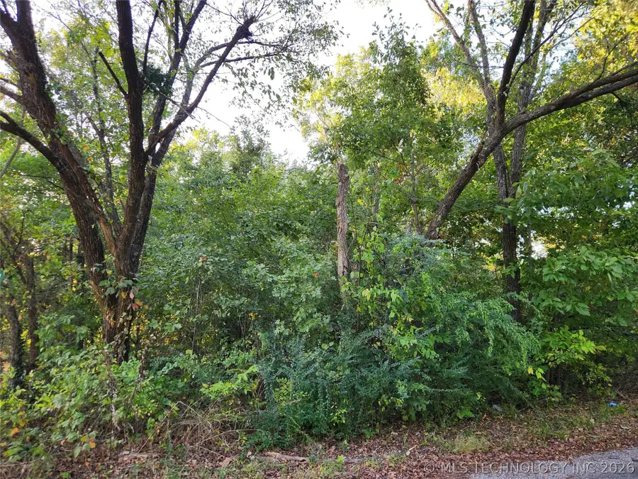 Lakeview Drive, Langley, OK 74350 - #2