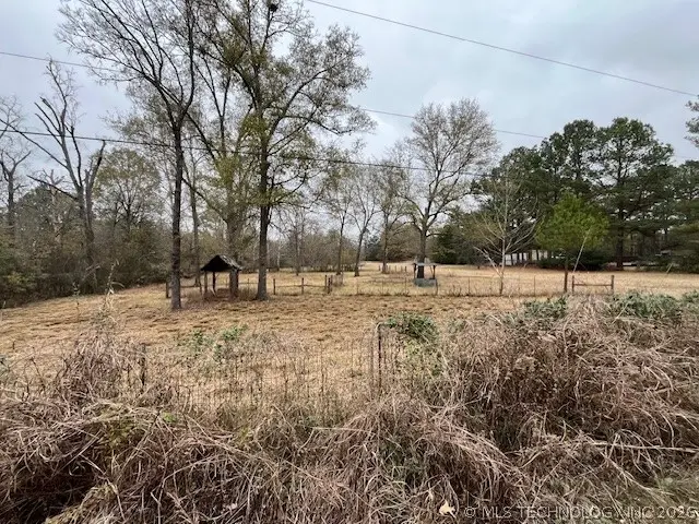 Clark Rd. Road, Antlers, OK 74523 - #3