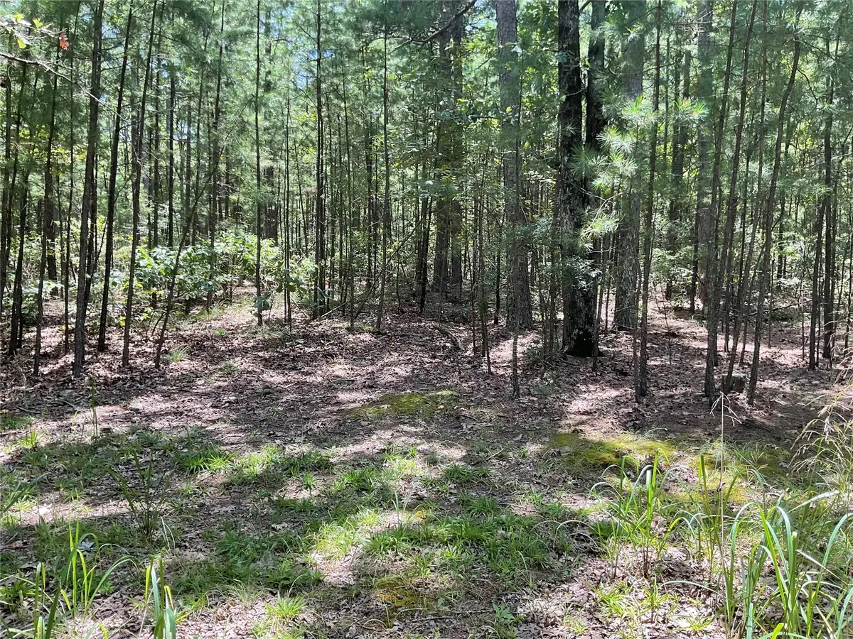 181201 Flat Top Road, Moyers, OK 74557 - #1