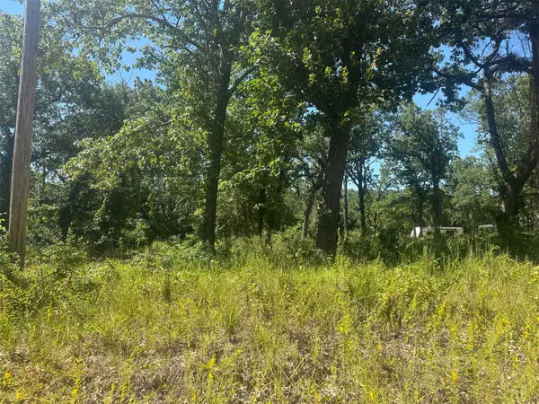 0 Driftwood Road, Kingston, OK 73439