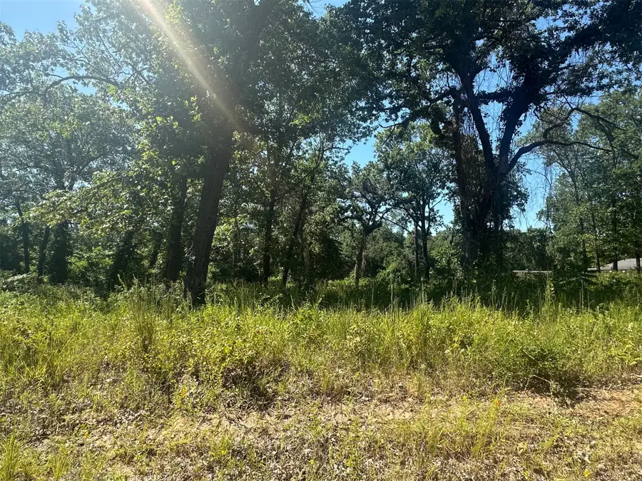 0 Driftwood Road, Kingston, OK 73439 - #3