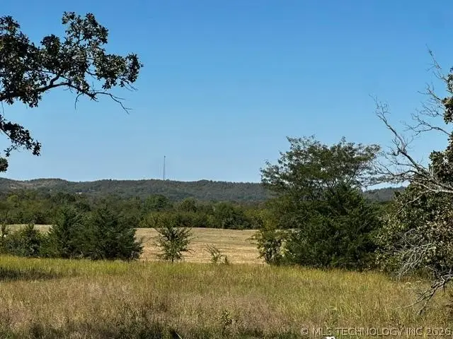 Miller Road, Stringtown, OK 74569 - #1