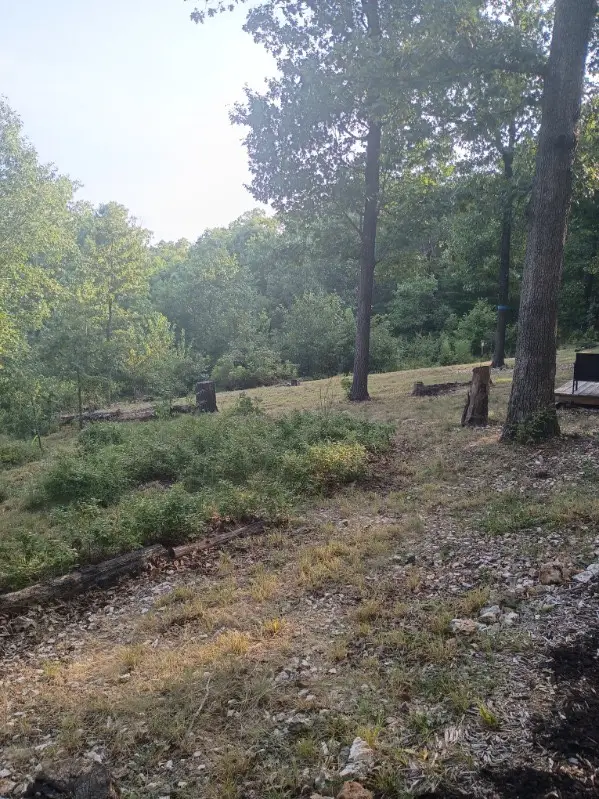 464058 Taylor Ridge Road, Proctor, OK 74457 - #3