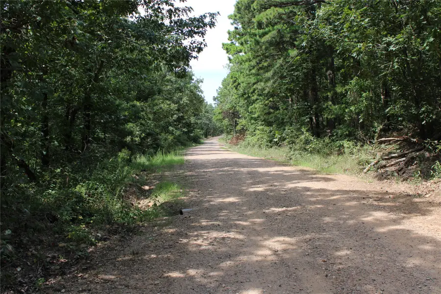 Buffalo Mountain Rd., Talihina, OK 74571 - #3