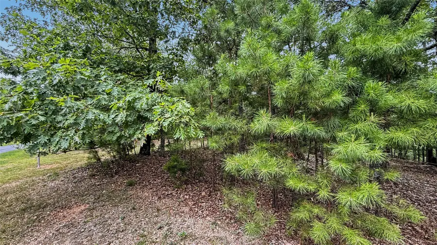 1595 Deer Lake Drive, Kansas, OK 74347 - #3